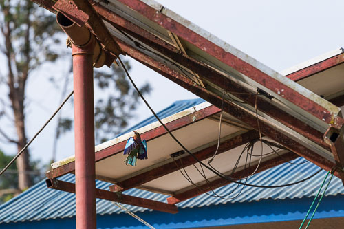 Gabelracke 2023-10-23_15-44-07__D062575_Ext-1012.jpg