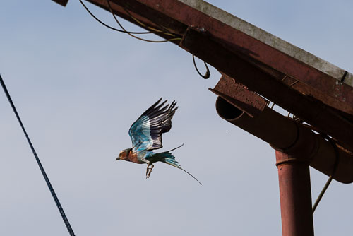 Gabelracke 2023-10-23_15-44-24__D062578_Ext-1014.jpg