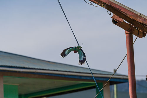 Gabelracke 2023-10-23_15-44-25__D062579_Ext-1015.jpg