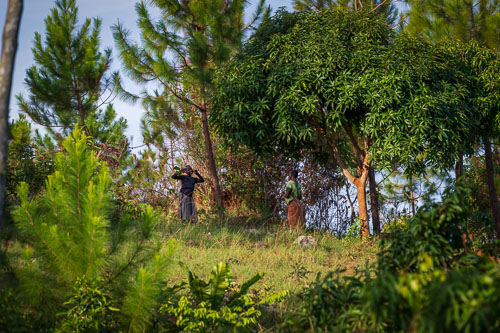 2023-10-23_16-24-01__D062582_Ext-1018.jpg 2023-10-23_16-24-01__D062582_Ext-1018.jpg