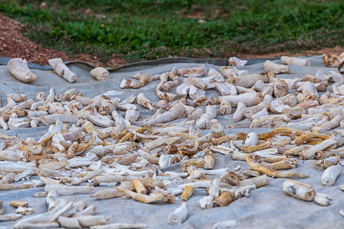 2023-10-23_17-03-37__D062596_Ext-1023.jpg 2023-10-23_17-03-37__D062596_Ext-1023.jpg