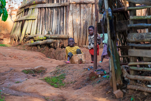 2023-10-24_06-24-57__D062597.jpg 2023-10-24_06-24-57__D062597.jpg