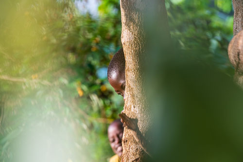 Etwas schüchtern 2023-10-24_06-28-39__D062611.jpg