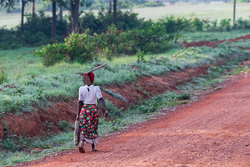 2023-10-24_06-30-21__D062612.jpg 2023-10-24_06-30-21__D062612.jpg