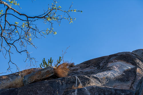 2023-10-26_16-24-55__D062708_Ext-1056.jpg 2023-10-26_16-24-55__D062708_Ext-1056.jpg