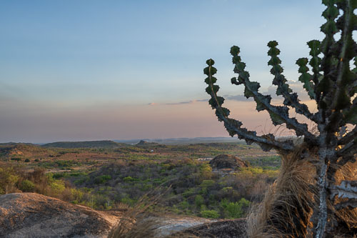 2023-10-26_17-25-15__Z726442-Verbessert-RR_Ext-1076.jpg 2023-10-26_17-25-15__Z726442-Verbessert-RR_Ext-1076.jpg