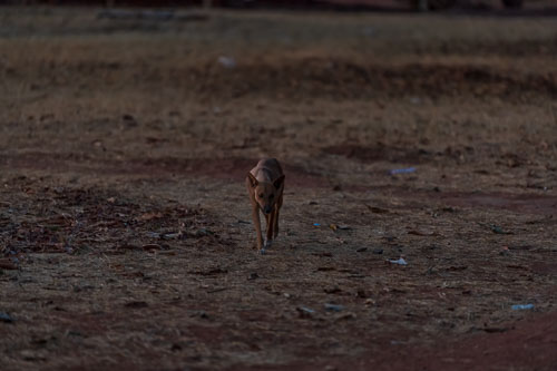 2023-10-26_17-57-36__D062770_Ext-1091.jpg 2023-10-26_17-57-36__D062770_Ext-1091.jpg