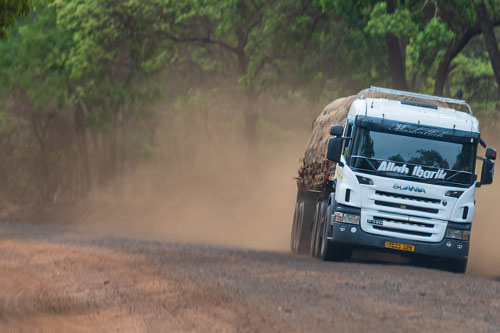 Katavi Nationalpark 2023-10-27_14-12-21__D062836_Ext-1110.jpg