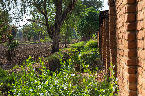 2023-10-28_08-05-04__Z726487.jpg 2023-10-28_08-05-04__Z726487.jpg