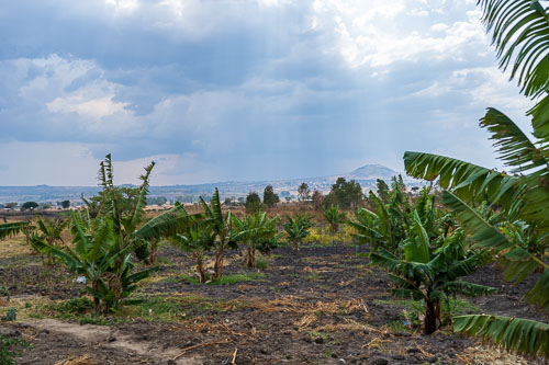 Garten für die Teilversorgung mit Lebensmitteln 2023-10-28_13-53-54__Z726558.jpg
