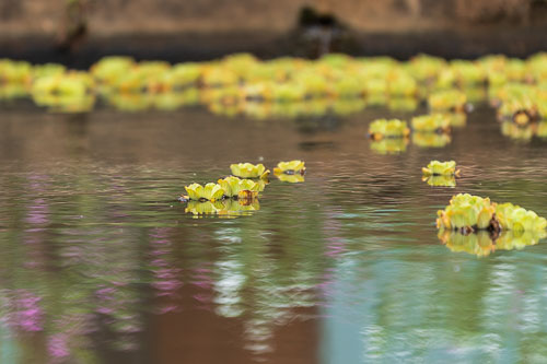 Im Haus der weissen Väter 2023-10-29_11-56-17__D062948.jpg