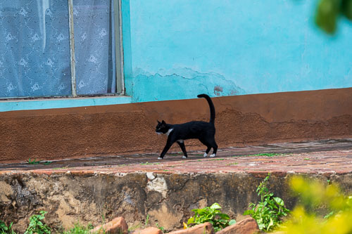 2023-10-29_14-28-43__D062977.jpg 2023-10-29_14-28-43__D062977.jpg