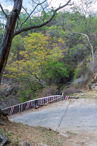 2023-10-30_09-21-41__Z726724-Verbessert-RR.jpg 2023-10-30_09-21-41__Z726724-Verbessert-RR.jpg