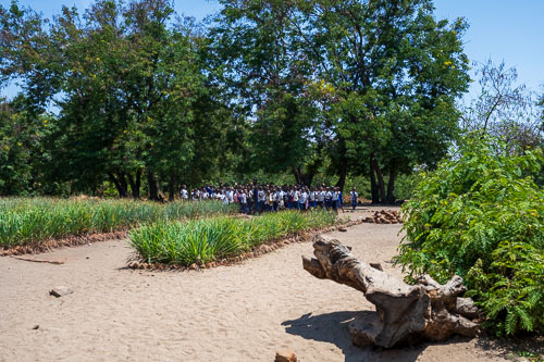 2023-10-30_10-22-39__Z726734.jpg 2023-10-30_10-22-39__Z726734.jpg