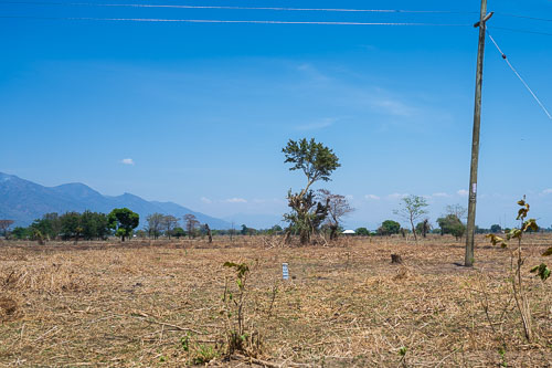 Kahlschlag am Lake Rukwa 2023-10-30_10-42-01__Z726738.jpg