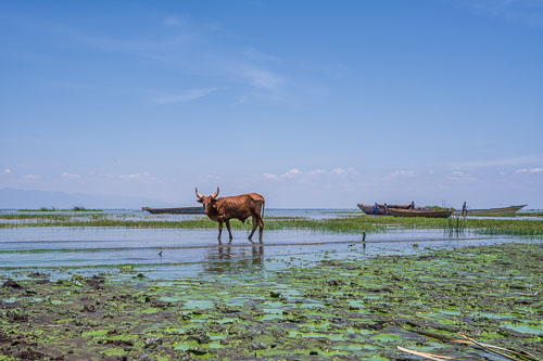 2023-10-30_10-58-14__Z726749_Ext-1141.jpg 2023-10-30_10-58-14__Z726749_Ext-1141.jpg