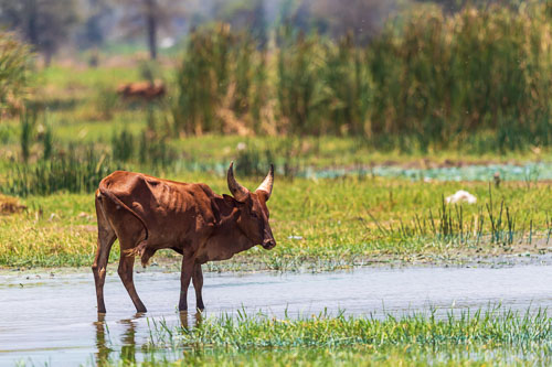 2023-10-30_11-12-24__D062998_Ext-1162.jpg 2023-10-30_11-12-24__D062998_Ext-1162.jpg