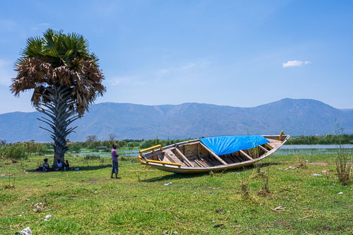 2023-10-30_11-20-53__Z726773.jpg 2023-10-30_11-20-53__Z726773.jpg