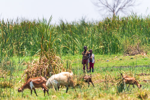 2023-10-30_11-21-24__D063003.jpg 2023-10-30_11-21-24__D063003.jpg