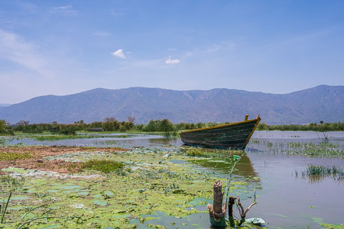 2023-10-30_11-25-01__Z726774.jpg 2023-10-30_11-25-01__Z726774.jpg