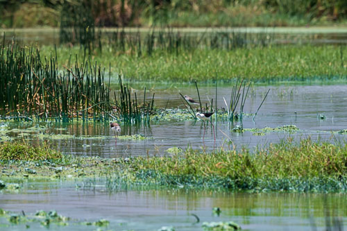 Stelzenläufer 2023-10-30_11-25-45__D063008_Ext-1164.jpg