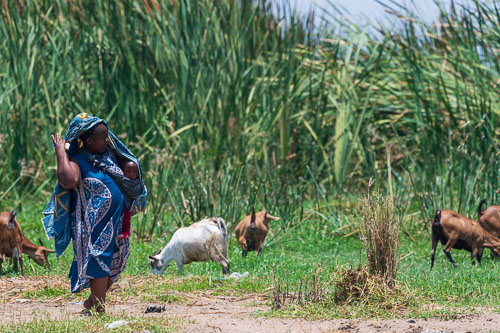 2023-10-30_11-30-55__D063020.jpg 2023-10-30_11-30-55__D063020.jpg