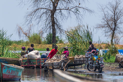 Fischmarkt am Lake Rukwa 2023-10-30_11-42-41__D063022.jpg