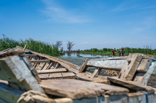 2023-10-30_11-46-23__Z726777.jpg 2023-10-30_11-46-23__Z726777.jpg