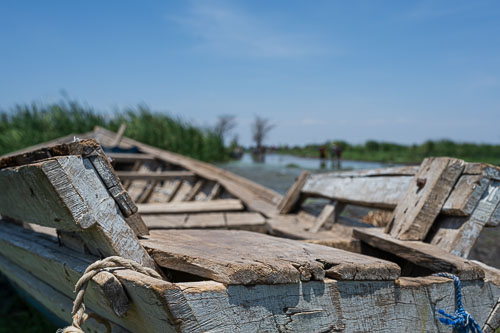 2023-10-30_11-46-40__Z726778.jpg 2023-10-30_11-46-40__Z726778.jpg