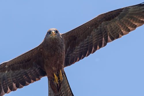 2023-10-30_11-52-30__D063035-Verbessert-RR_Ext-1178.jpg 2023-10-30_11-52-30__D063035-Verbessert-RR_Ext-1178.jpg