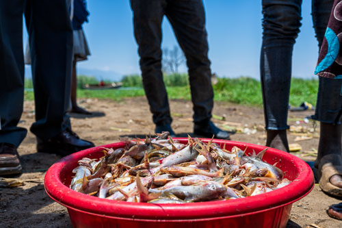 Fischmarkt am Lake Rukwa 2023-10-30_11-53-22__Z726782_Exed-0455.jpg