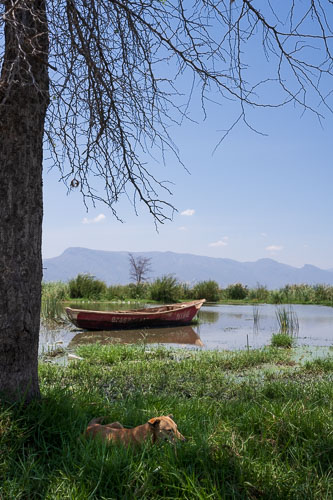 2023-10-30_11-56-19__Z726785.jpg 2023-10-30_11-56-19__Z726785.jpg