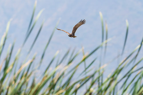 2023-10-30_11-56-51__D063042_Ext-1180.jpg 2023-10-30_11-56-51__D063042_Ext-1180.jpg