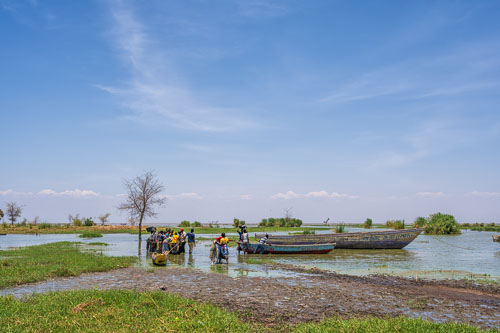 Fischmarkt am Lake Rukwa 2023-10-30_11-58-52__Z726786-Verbessert-RR_Ext-1194.jpg