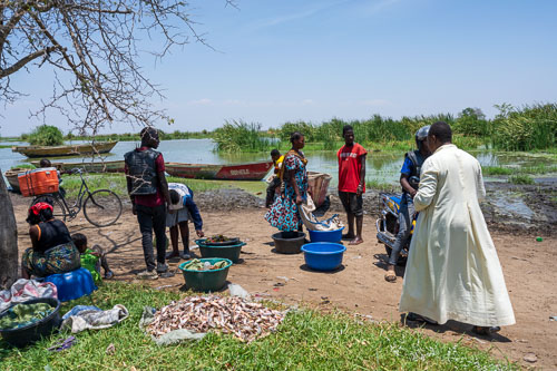 Fischmarkt am Lake Rukwa 2023-10-30_12-10-05__Z726789_Exed-0461.jpg
