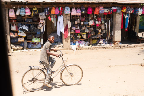 2023-10-30_12-33-18__Z726795.jpg 2023-10-30_12-33-18__Z726795.jpg