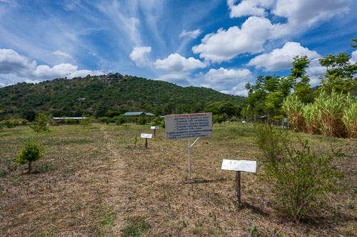 Lehrgarten 2023-10-31_10-37-49__Z726870.jpg