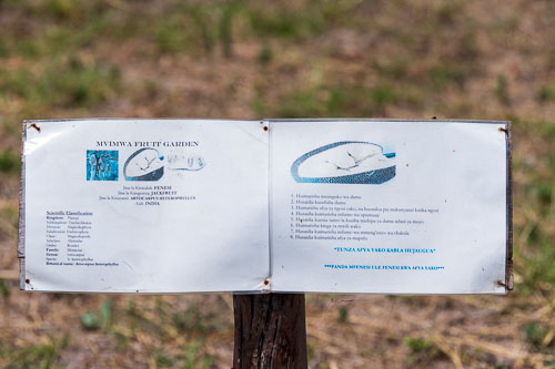 Lehrgarten 2023-10-31_10-38-20__D063211.jpg