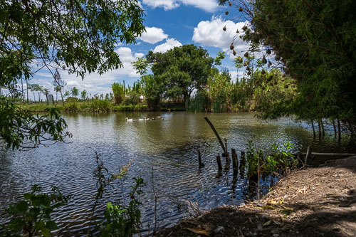 Geflügelzucht 2023-10-31_12-10-07__Z726880.jpg