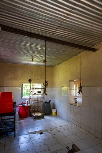 2023-10-31_12-24-35__Z726887.jpg 2023-10-31_12-24-35__Z726887.jpg