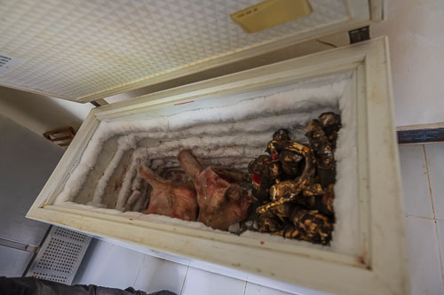 2023-10-31_12-27-20__Z726889.jpg 2023-10-31_12-27-20__Z726889.jpg