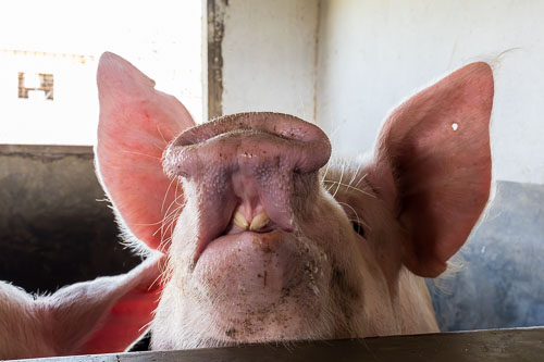 2023-10-31_12-37-50__Z726894-Verbessert-RR.jpg 2023-10-31_12-37-50__Z726894-Verbessert-RR.jpg