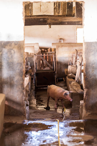 2023-10-31_12-39-13__D063233-Verbessert-RR.jpg 2023-10-31_12-39-13__D063233-Verbessert-RR.jpg