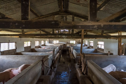 2023-10-31_12-40-29__Z726896.jpg 2023-10-31_12-40-29__Z726896.jpg