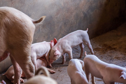 2023-10-31_12-40-49__D063235.jpg 2023-10-31_12-40-49__D063235.jpg