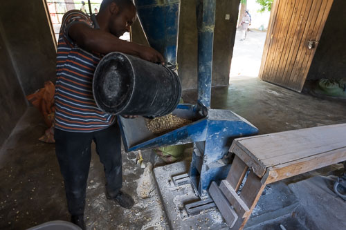 Ölpressen 2023-10-31_12-56-20__Z726898.jpg