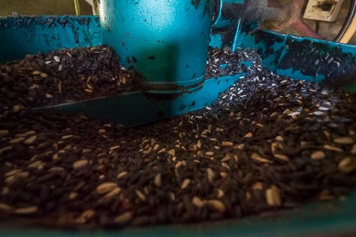 Ölpressen 2023-10-31_12-59-04__Z726902.jpg