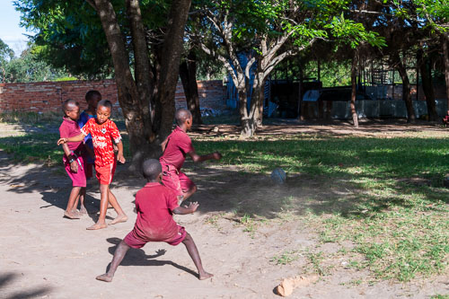 2023-10-31_15-53-02__D063254.jpg 2023-10-31_15-53-02__D063254.jpg