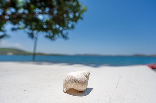 2023-11-01_10-56-40__Z726959.jpg 2023-11-01_10-56-40__Z726959.jpg