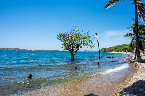 Dauerhaftes Hochwasser 2023-11-01_11-20-27__Z726962.jpg